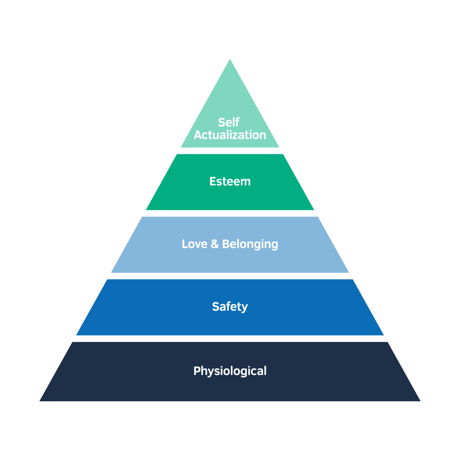 A Hierarchy Of Stakeholder Needs